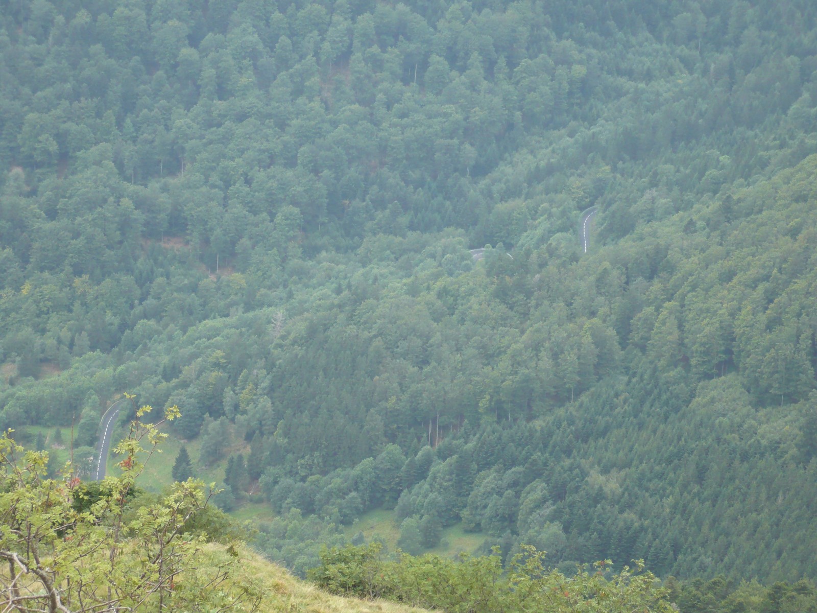 kurvige Straße im Tal