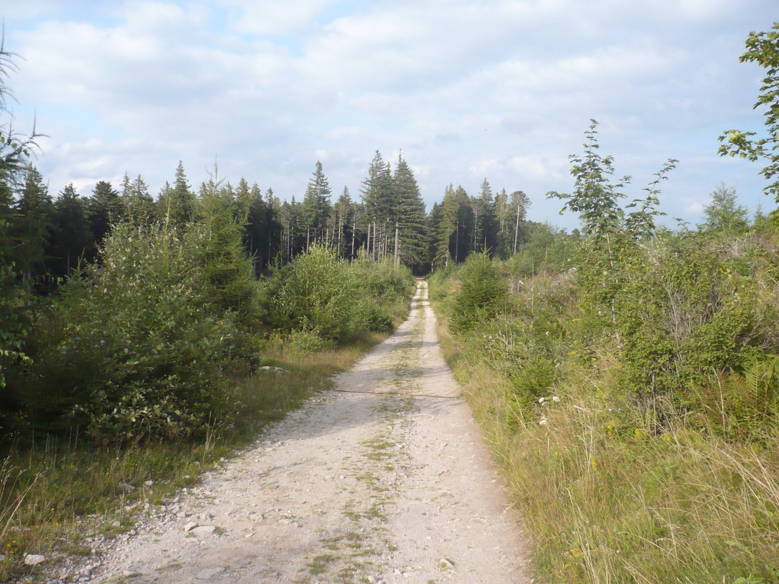 Unbefestigte Straße