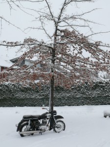 Fast fertige MZ ES 300 im Schnee