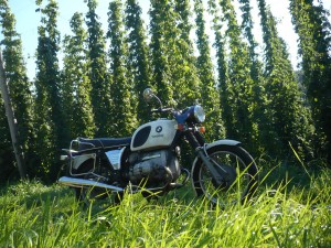 BMW R 80/5 vor echtem Bitburger Siegelhopfen