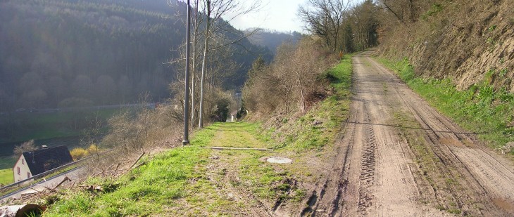 Pause auf einem Waldweg