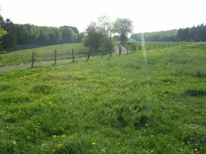 Feldweg in Luxemburg
