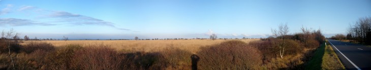 Vennpanorama bei Baraque Michel in der Abendsonne