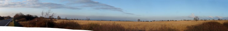 Vennpanorama bei Baraque Michel in der Abendsonne (Kuh links)