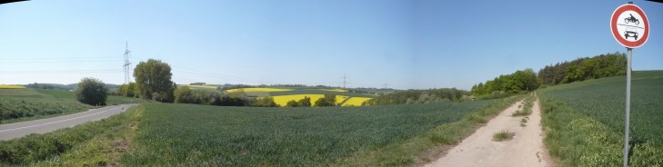 Rapspanorama in der Eifel