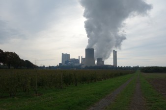 Kraftwerk Niederaußem sorgt für Weinanbauklima