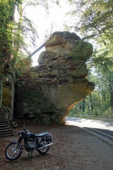 Kuh vor dem "Predigtstuhl" im Müllerthal