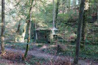 Ruine im Müllerthal