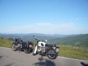 Zwei Kühe vor grandiosem Panorama
