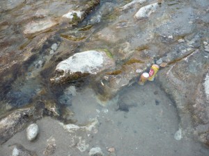 Eiskaltes Vergnügen!