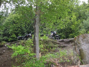 BMWs